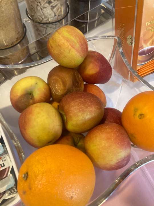 Gastro Pension Garni Eden