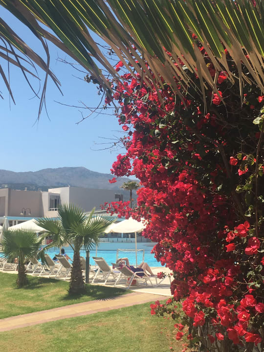 Pool Minos Mare Royal