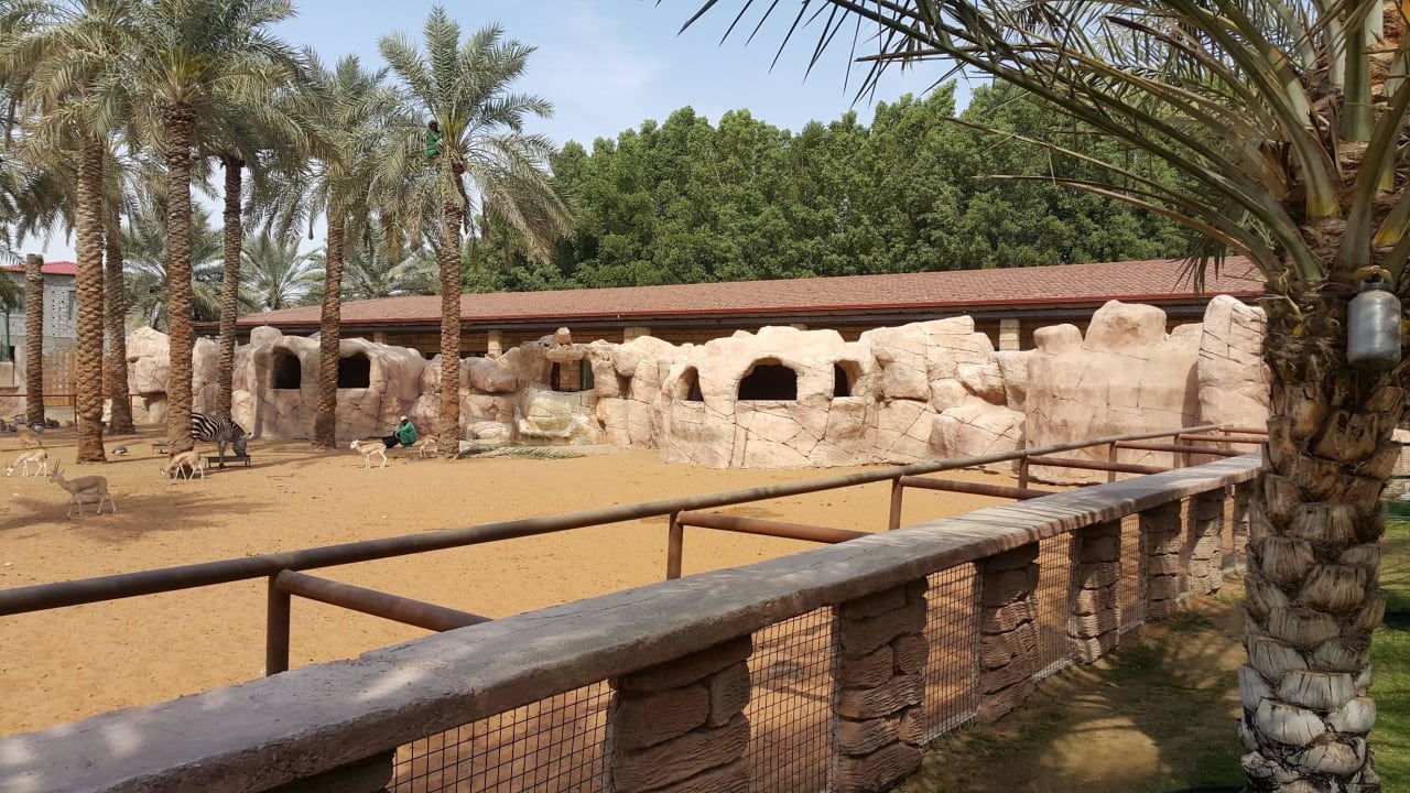 Zoo Facing room Hotel Emirates Park Resort