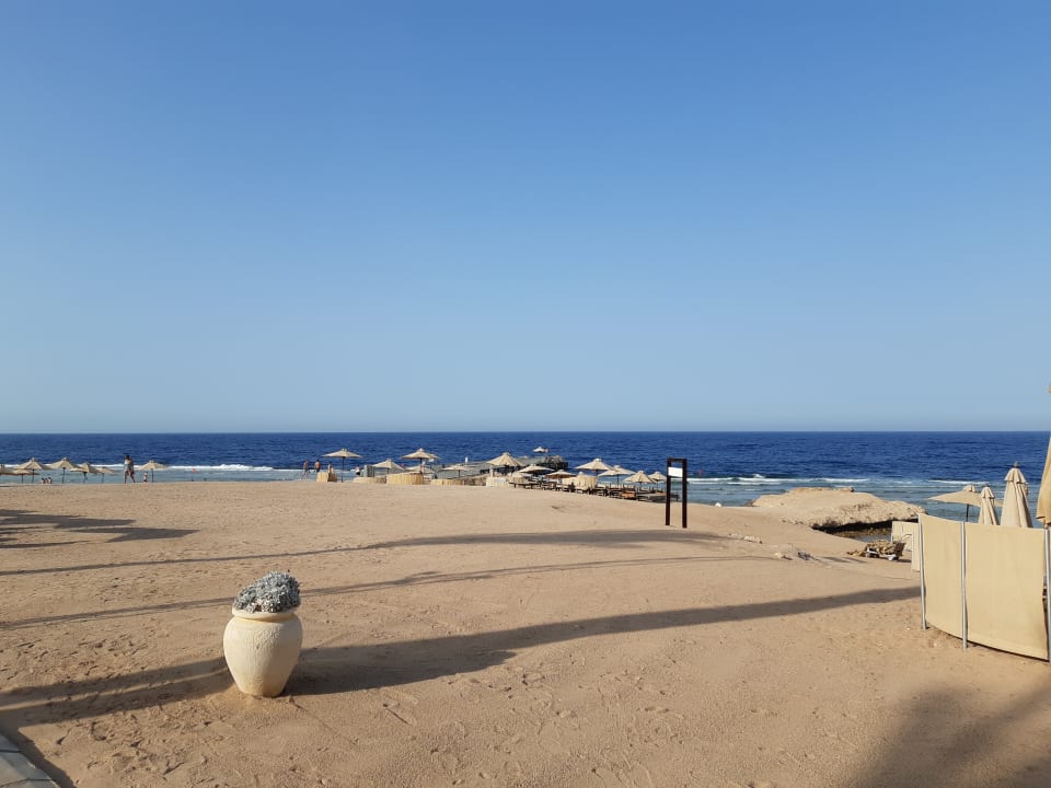 Strand Serenity Alma Heights