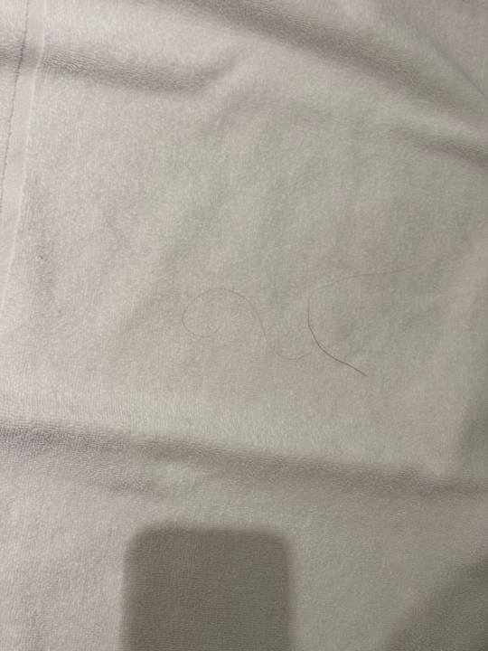 Zimmer Limehome Erfurt Maximilian Welsch Str