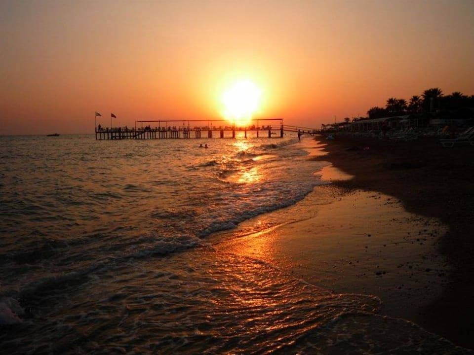 Pláž-západ2 Papillon Ayscha