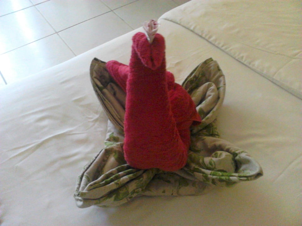 Nett Ghazala Gardens