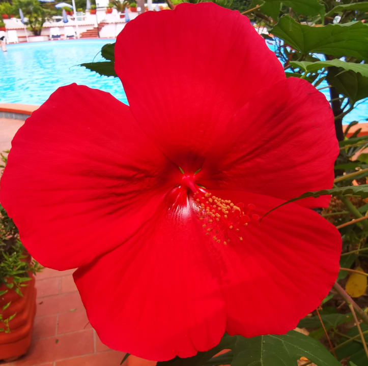 Gartenanlage Hotel Park Imperial Terme