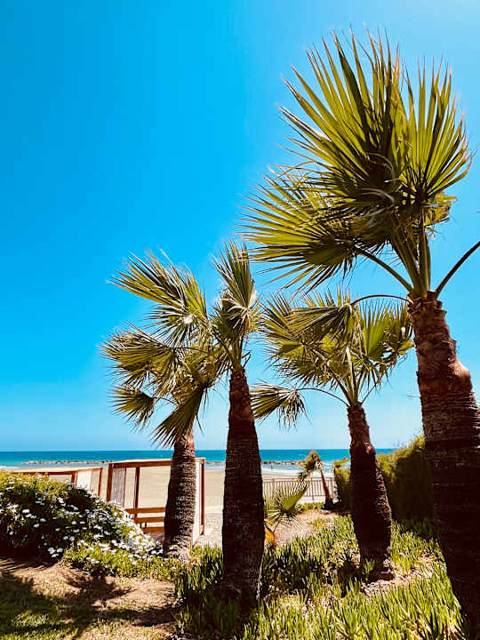 Strand ROBINSON CYPRUS