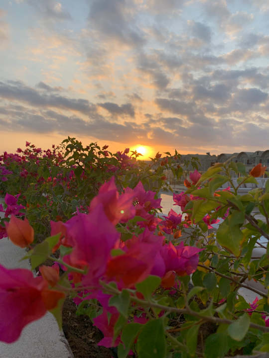 Außenansicht SUNRISE Anjum Resort Marsa Alam