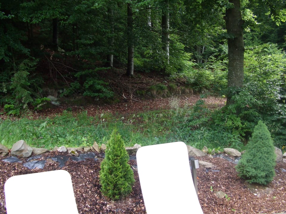 Waldwellness-Suite Thula Wellnesshotel Bayerischer Wald