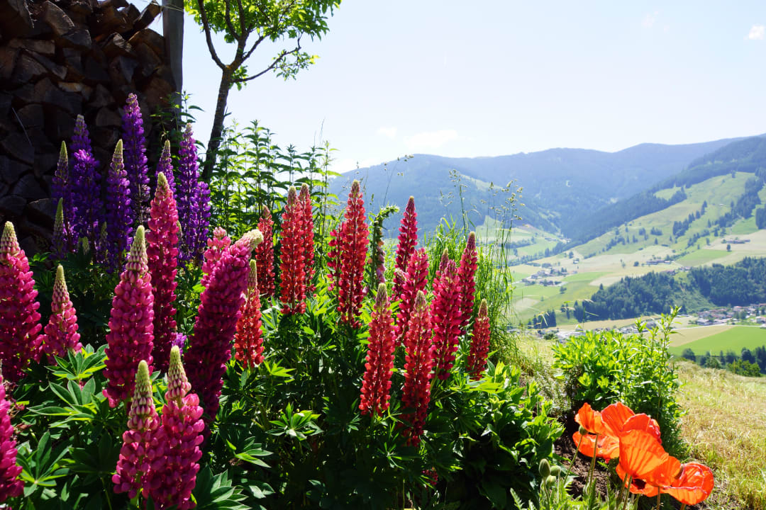 Bogner Haus Nr. 9 PRIESTEREGG Premium ECO Resort