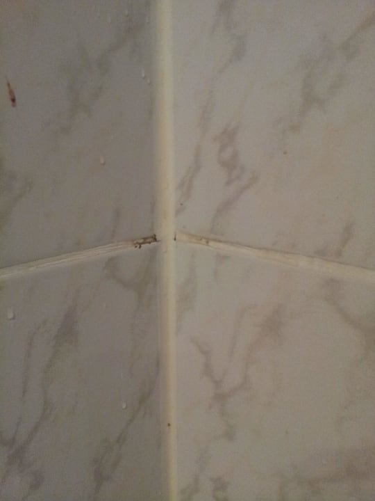 Schimmel in der Dusche acom Hotel Berlin Kurfürstendamm