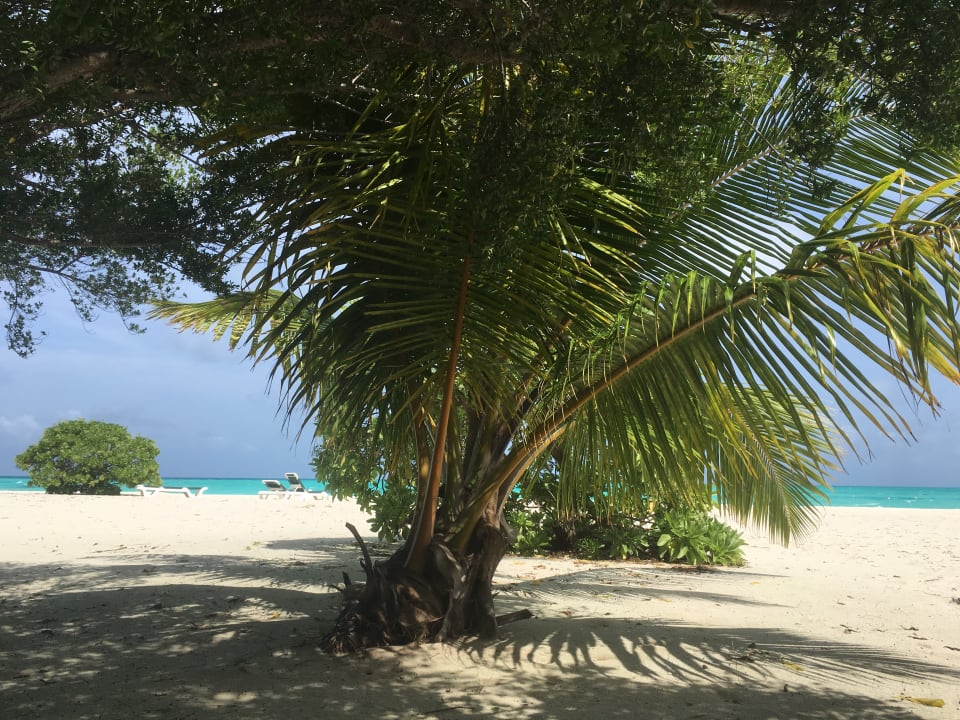 Strand Meeru Maldives Resort Island