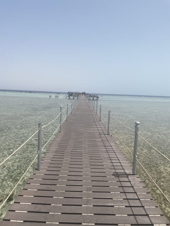 Ausblick Pickalbatros Royal Moderna Resort-Sharm El Sheikh