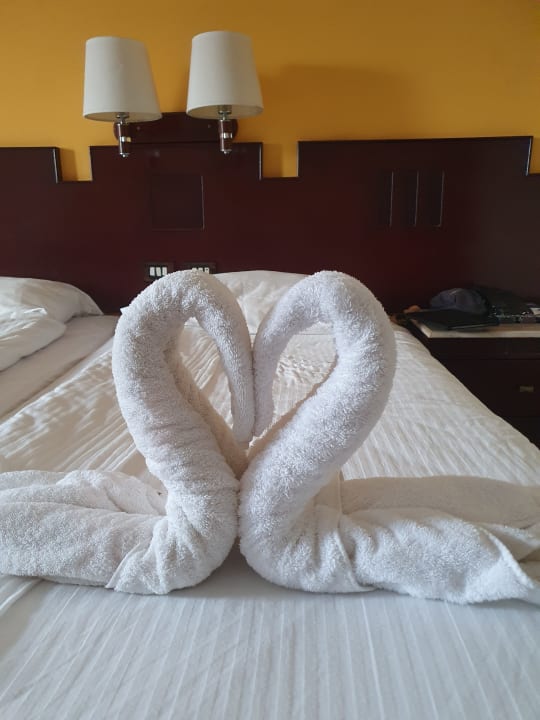 Zimmer Coral Sun Beach