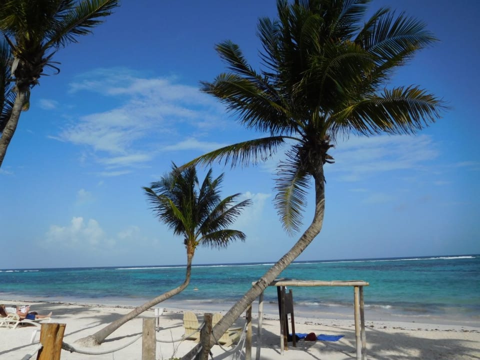 Strand Akumal Bay Beach & Wellness Resort