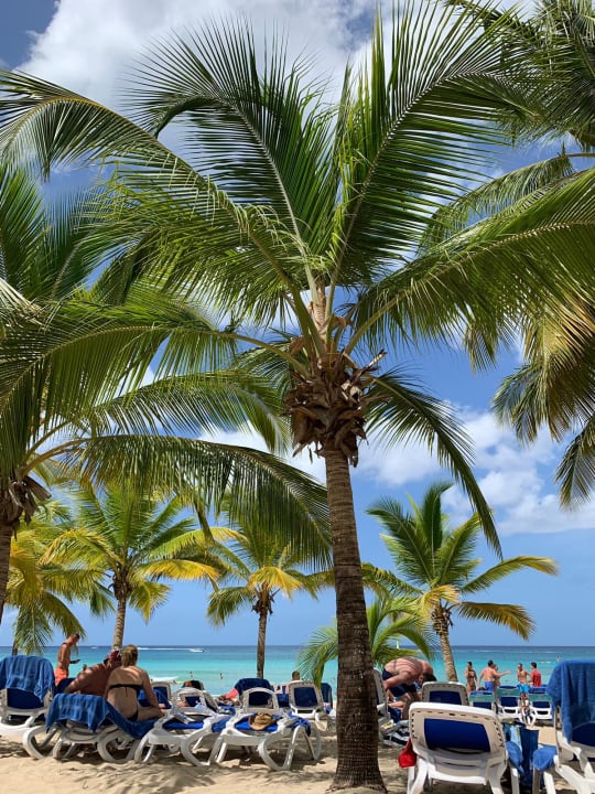 Strand Hotel Viva Dominicus Palace by Wyndham-All Inclusive Resort