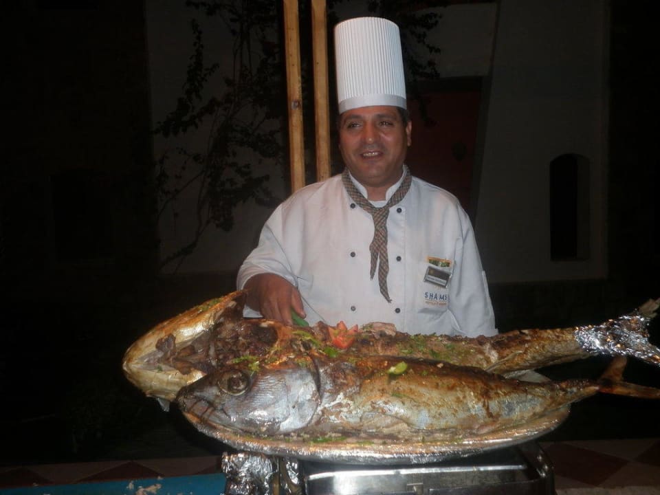 Der Meister und die Riesenmarkrele Shams Alam Beach Resort