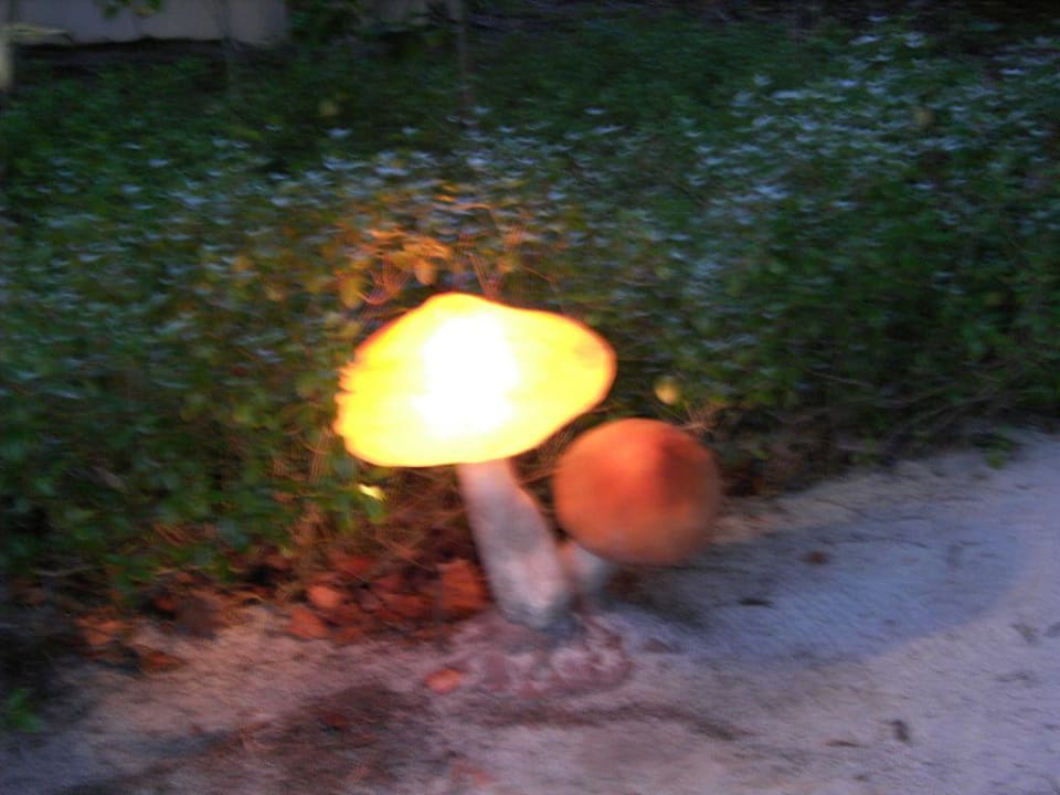 Pilz Ellaidhoo Maldives by Cinnamon