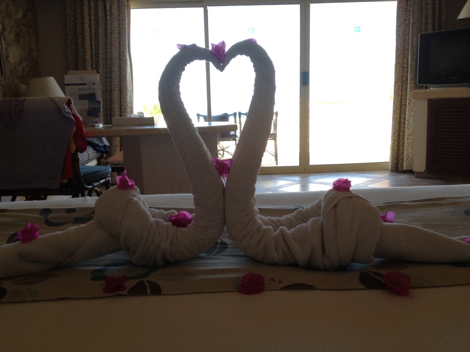 Zimmer Pickalbatros Citadel Resort