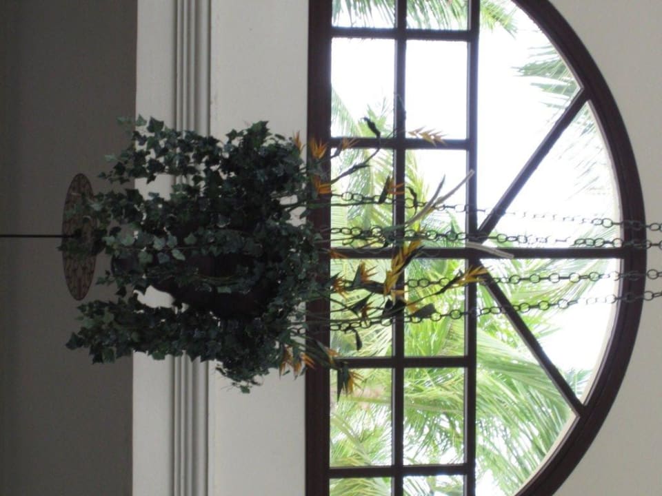 Deckenblumen Hotel Riu Bambu