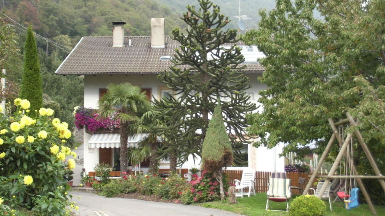 Haus mit Palme Oberbrunnhof Ferienwohnungen