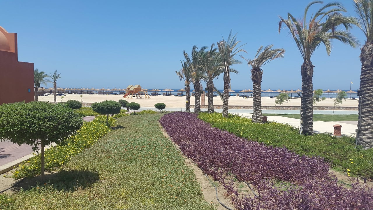 Blumen  Novotel Marsa Alam Beach Resort