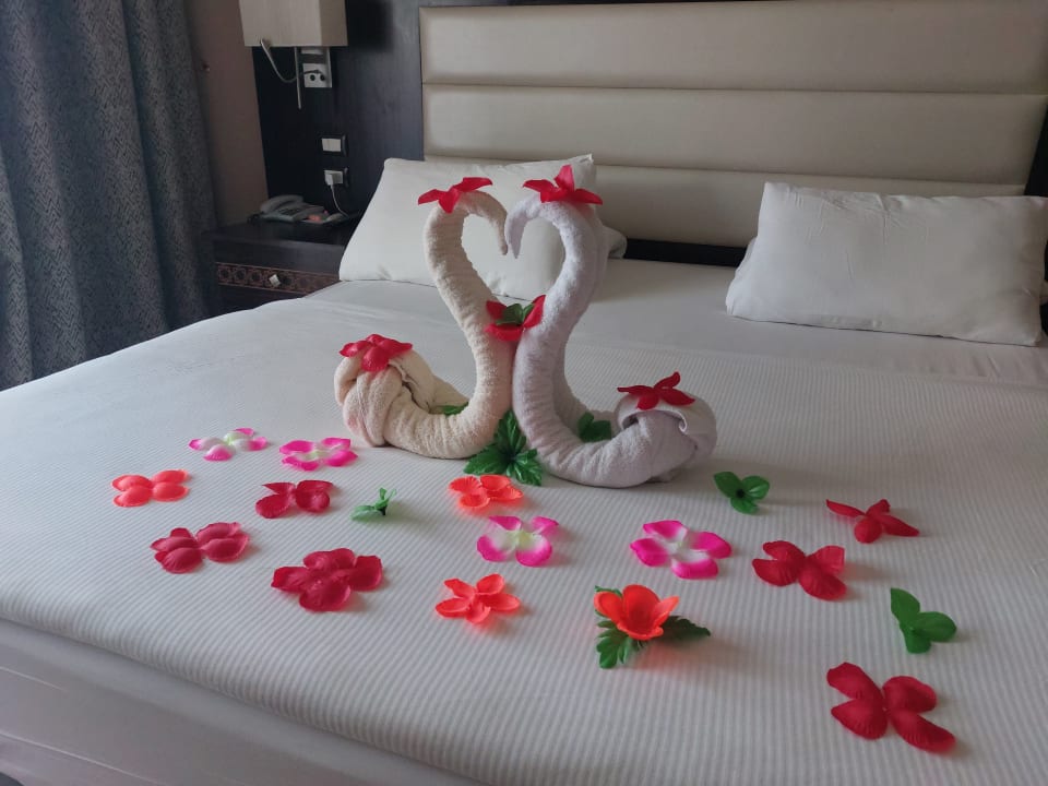 Zimmer Pickalbatros Palace Resort