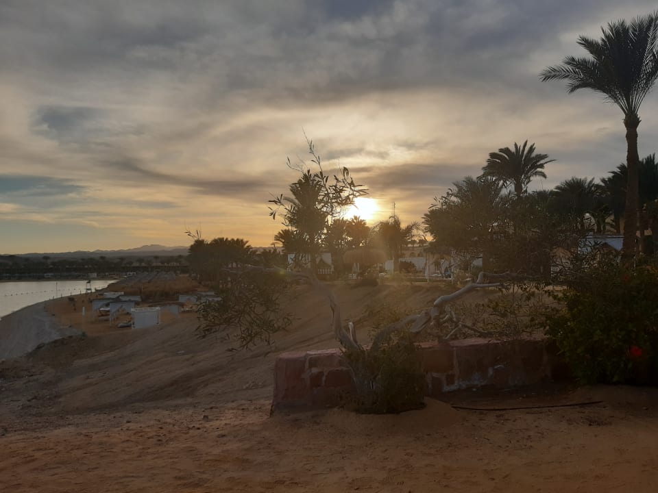 Strand Steigenberger Coraya Beach - Adults only