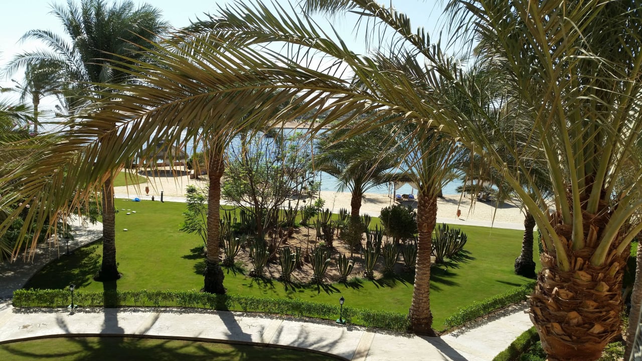 View from our room Steigenberger Coraya Beach - Adults only