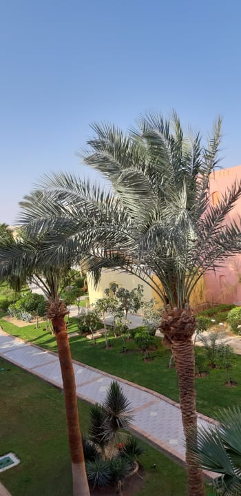Gartenanlage Jaz Makadi Oasis Resort