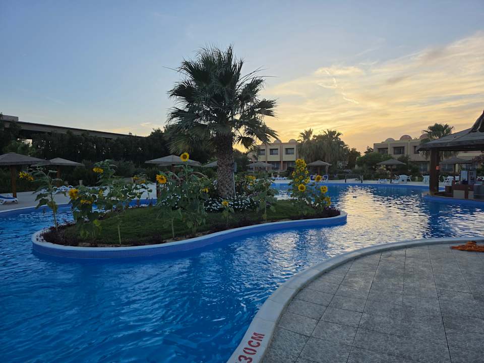 Pool Wadi Lahmy Azur Resort