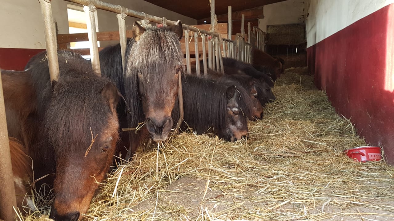 Sonstiges Ferienhof Jehle