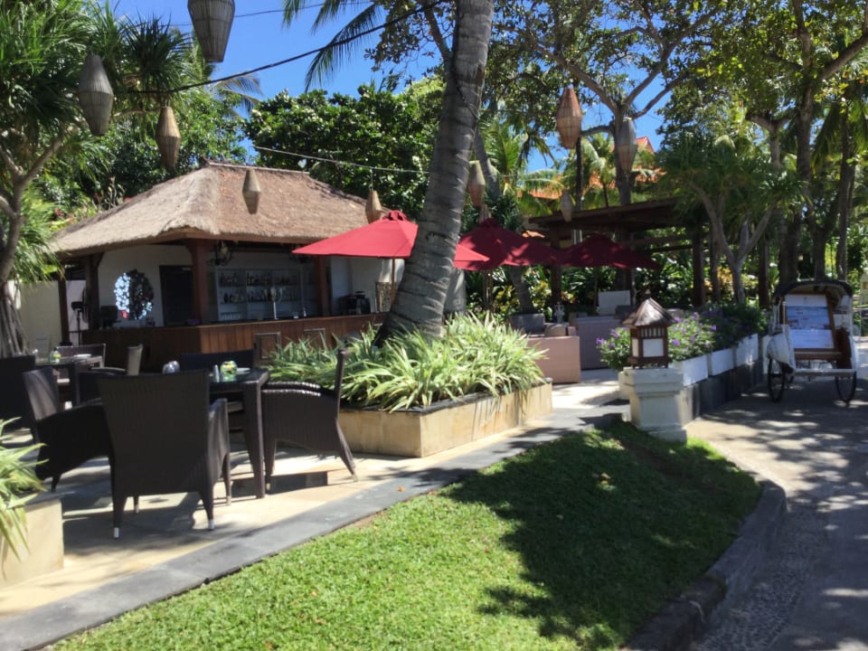 Gartenanlage The Laguna A Luxury Collection Resort & Spa