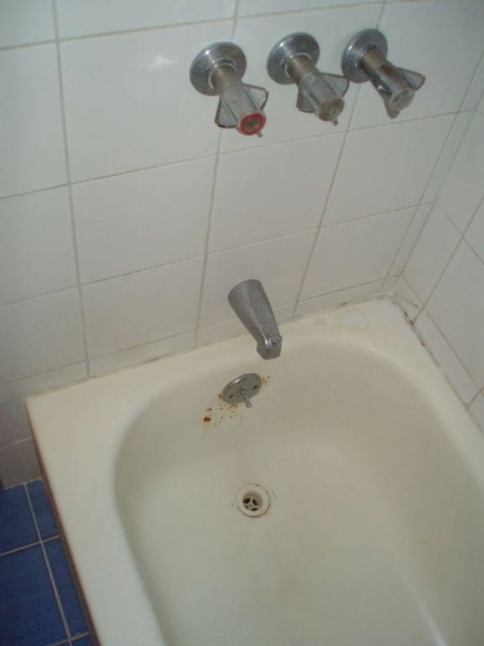 Bad whala!boca chica