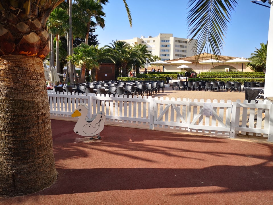 Sport & Freizeit Hipotels Mediterraneo Club