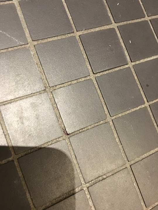 Zimmer Radisson Blu Hotel Zürich Airport