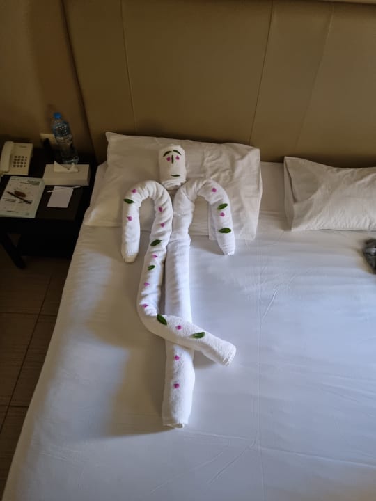 Zimmer Jaz Makadi Oasis Resort