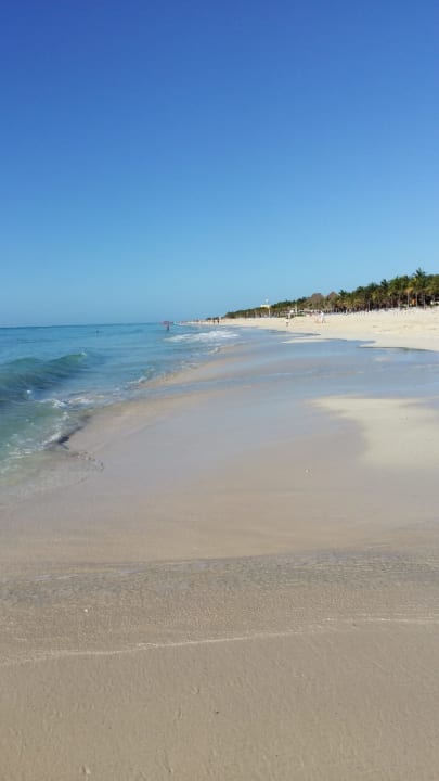 Strand The Reef Playacar