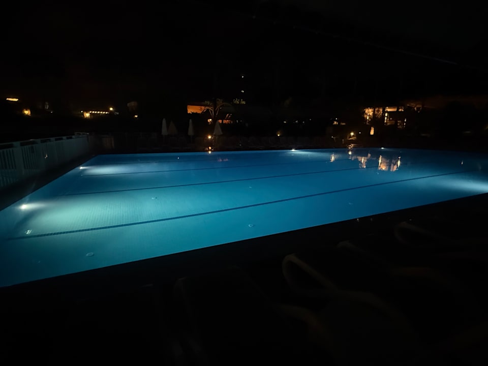 Pool Aydinbey Kings Palace & Spa