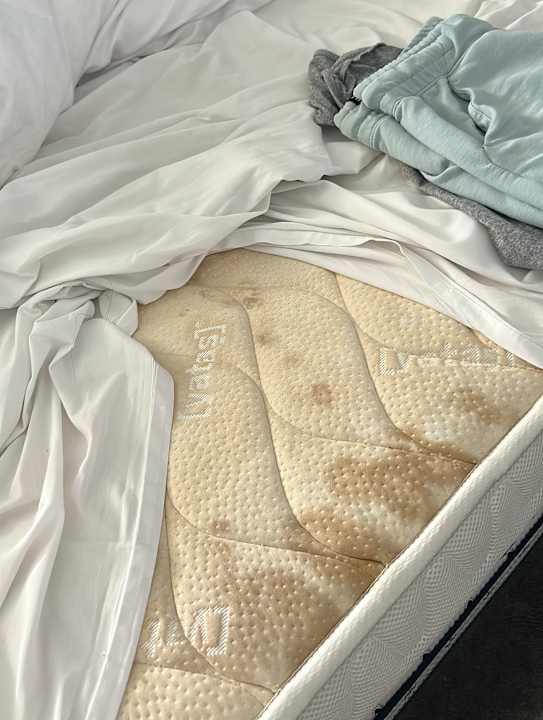 Zimmer Elite Luxury Suite & Spa