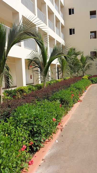 Gartenanlage Hotel Riu Baobab