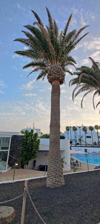 Außenansicht Aparthotel Costa Mar