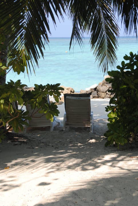 Liegen reserviert für Bungalow 330 Summer Island Maldives