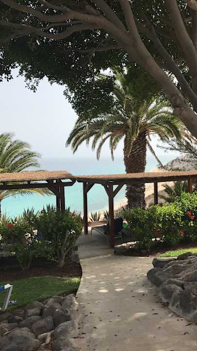 Ausblick ROBINSON ESQUINZO PLAYA