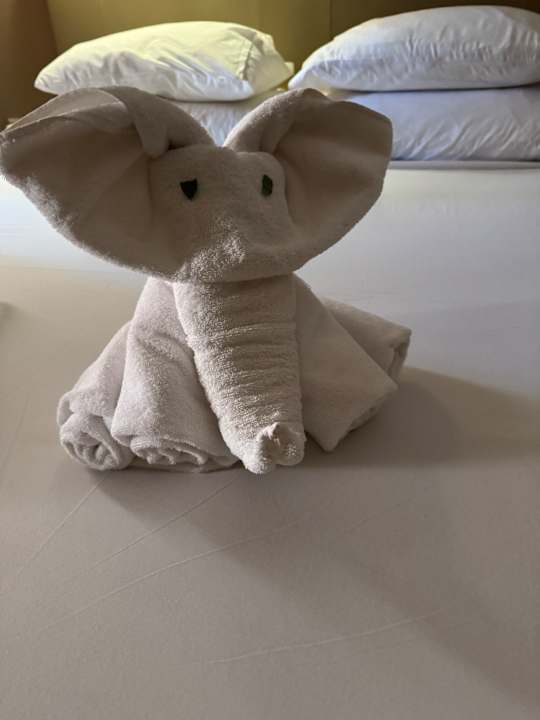 Zimmer Jaz Makadi Oasis Resort