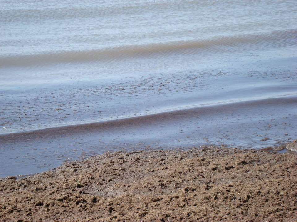 Dicker Dreck im Meer von den Algen Hotel Bravo Djerba