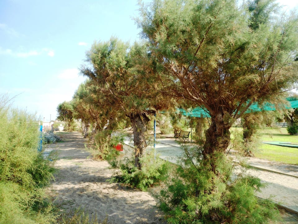 Boccia Feld Santa Marina Beach