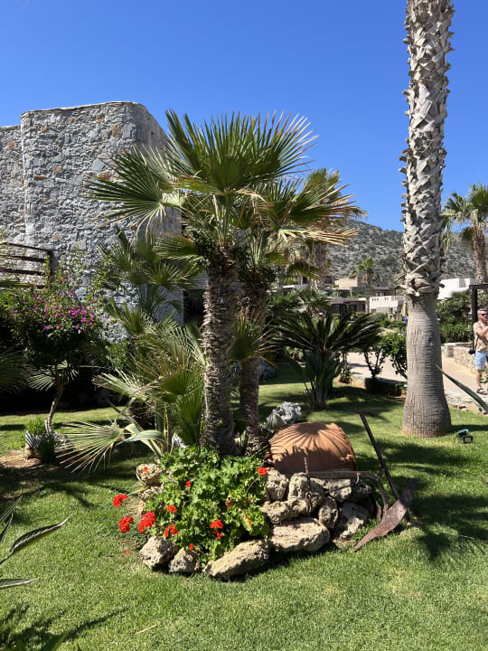 Gartenanlage Ikaros Beach Luxury Resort & Spa - Adults Only
