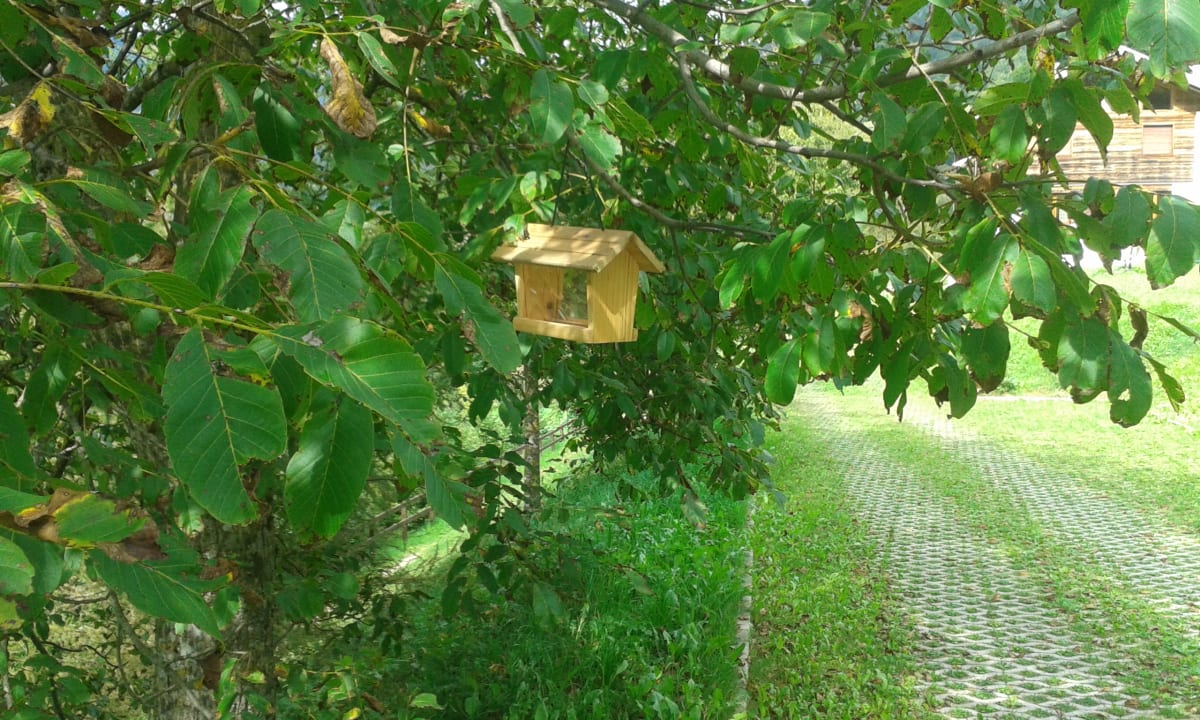 Gartenanlage B&B Anna Maria