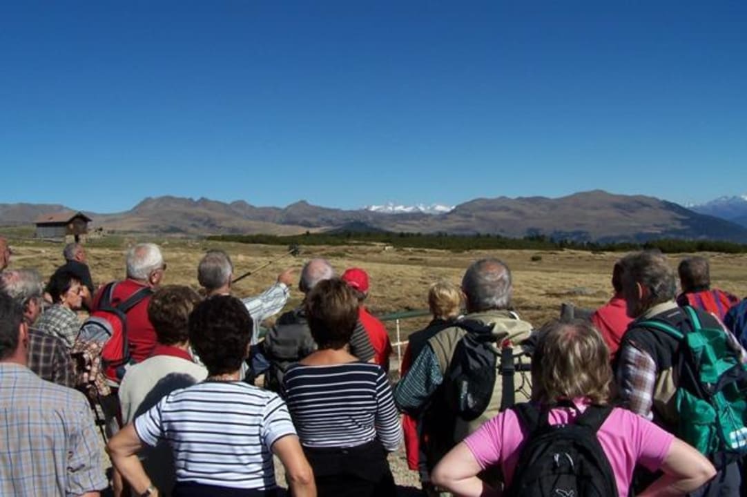 Regelmäßige Almwanderung Gasthof zur Traube