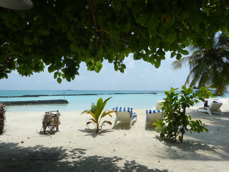 Superiorbungalow 204 Summer Island Maldives