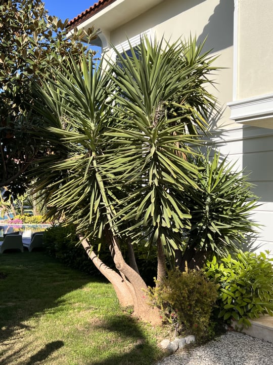 Zimmer Paloma Oceana